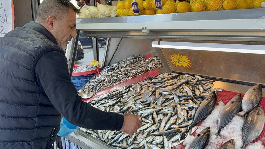 O kentte hamsinin kilosu 50 TL'ye kadar düştü! Fiyatı gören kasa kasa alıyor 6